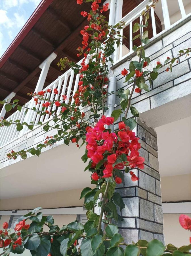 Bella Terra Nature Living 艾斯普罗瓦塔 外观 照片